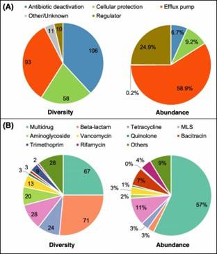 Fig 1. Composition of ARGs and regulatory genes across 26 soil metagenomes. (Qian et al., 2021)